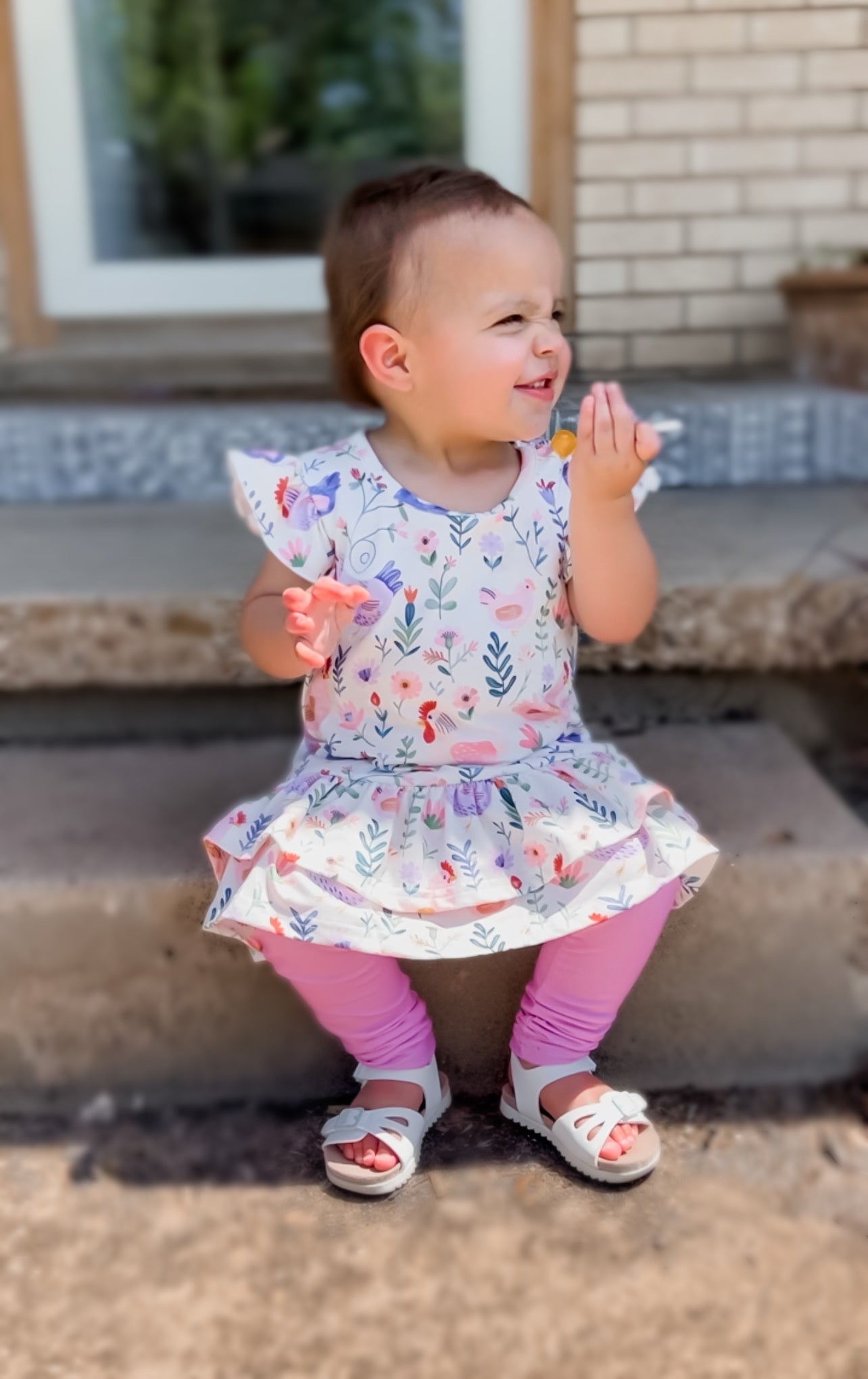 Charlotte’s Chicken Set