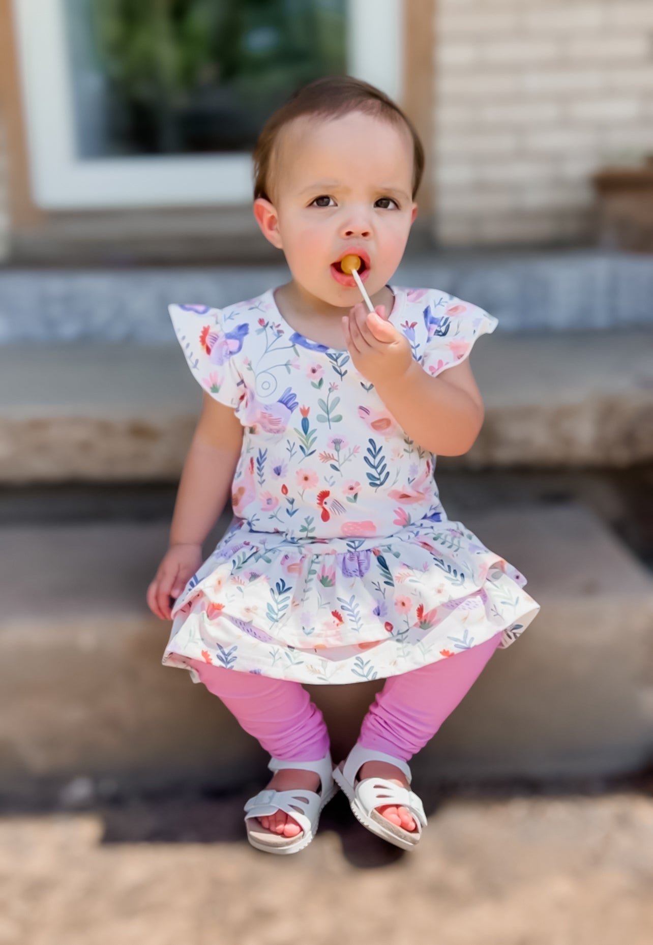 Charlotte’s Chicken Set